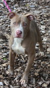 27983 - Milly