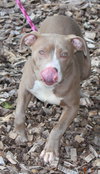 27983 - Milly