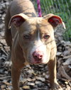 27983 - Milly