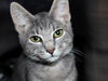 28279 - Marvin