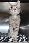 28279 - Marvin