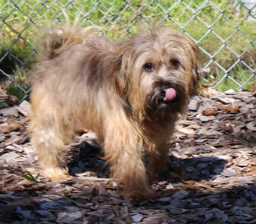 28319 - Toby
