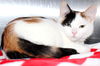 28364 - Mary