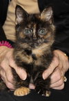 28555 - Betty