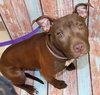 28695 - Nylah