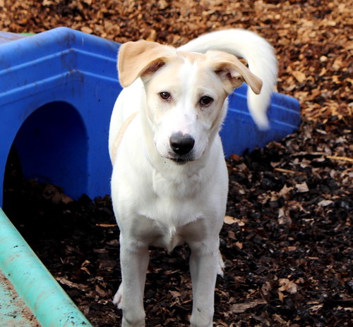 28723 - Lucky
