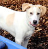 28723 - Lucky