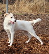 28723 - Lucky