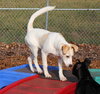 28723 - Lucky