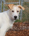 28723 - Lucky