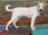 28723 - Lucky