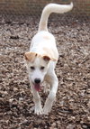 28723 - Lucky