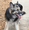 35693 - Coco