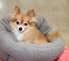 36470 - Molly