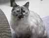 36530 - Kizzy