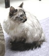 36530 - Kizzy