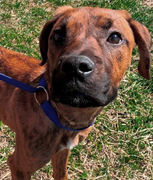 36712 - Tucker