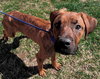 36712 - Tucker
