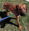36712 - Tucker