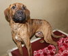 36712 - Tucker