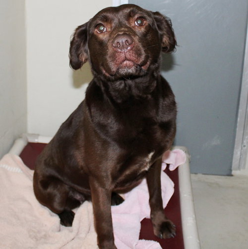36773 - Harley