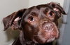 36773 - Harley