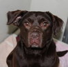 36773 - Harley