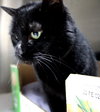 37332 - Salem