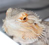 37691 - Sammie