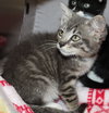 37973 - Lucy