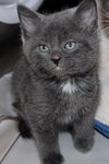 37598 - Jasper