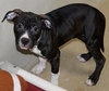 38569 - Sasha