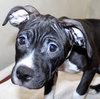 38569 - Sasha
