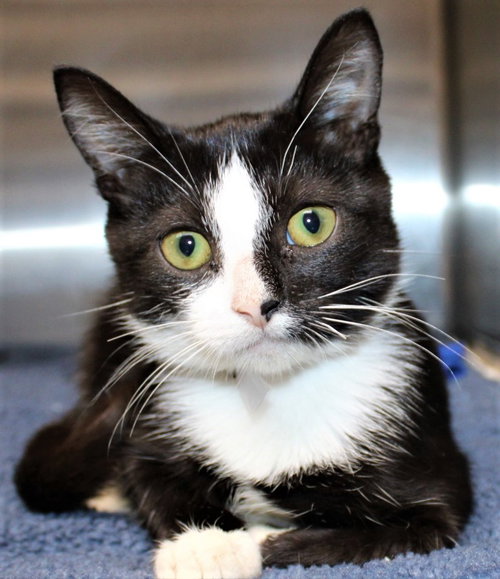 38549 - Timmy