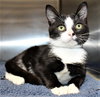 38549 - Timmy