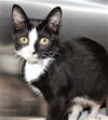 38549 - Timmy