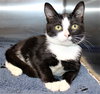 38549 - Timmy