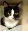 38549 - Timmy