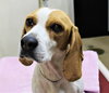 38551 - Marley