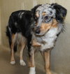 38579 - Allie