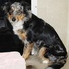 38579 - Allie