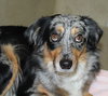 38579 - Allie