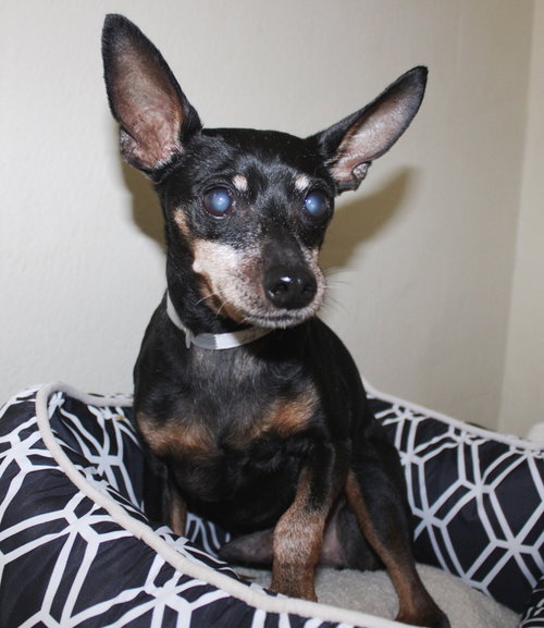 38892 - Frank