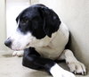 38898 - Cooper