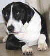 38898 - Cooper
