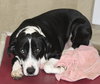 38898 - Cooper