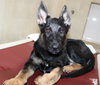 39013 - Baxter