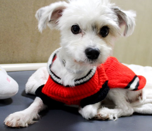 39070 - Murphy