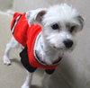 39070 - Murphy
