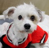 39070 - Murphy